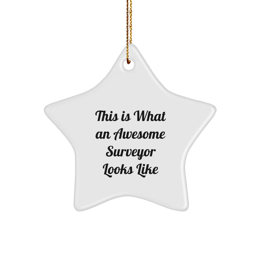 Funny Star Ornament Gifts from Friends for Surveyor, Christmas Unique Gifts for Surveyor Enthusiasts, Surveyor Star Ornament - Image 1
