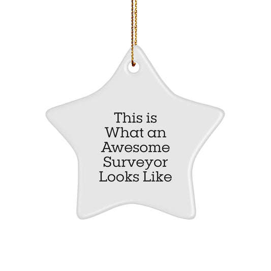 Funny Surveyor Gifts for Men from Friends - Star Ornament Christmas Unique Decorations This Is What An Awesome Surveyor Looks Like - White Star Shaped Home Decor - Image 1
