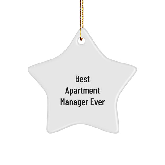 Funny Funny Gifts from Men to Apartment Manager Christmas Star Ornament Best Apartment Manager Ever - Image 1