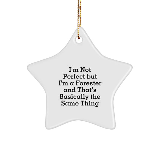 Funny Forester Star Ornament Gifts from Friends for Forester's Christmas Unique Decorations - White Star Shaped Home Decor - Image 1