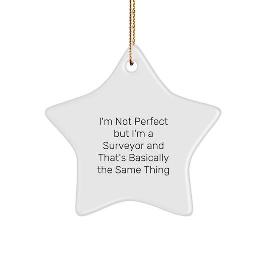 Funny Surveyor Gifts, Star Ornament for Surveyor, Christmas Unique Gifts from Friends to Men Surveyor - Image 1