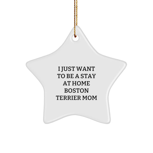 Unique Boston Terrier Dog Christmas Star Ornament Gifts from Friends for Family - Funny Quote - Image 1