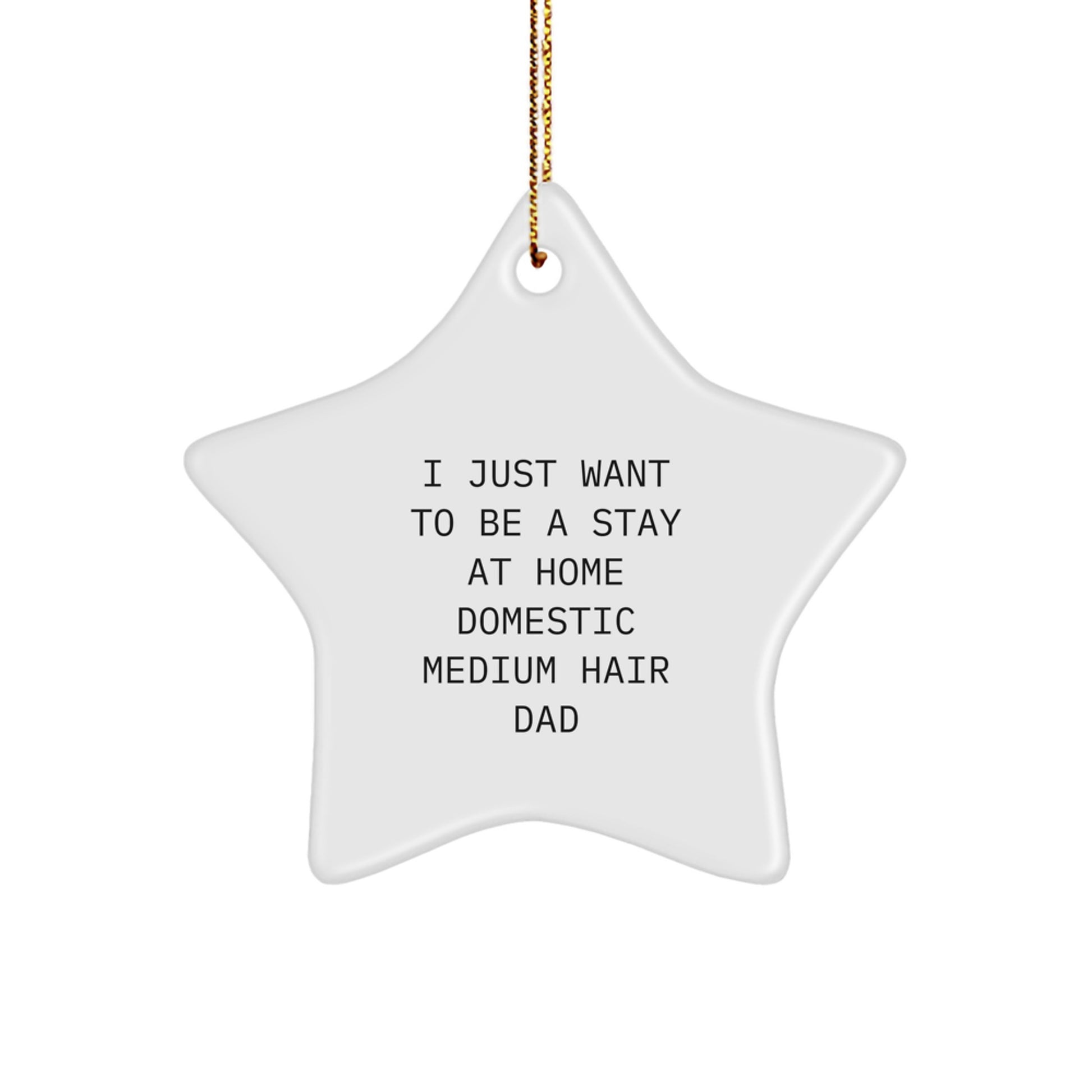 Funny Domestic Medium Hair Dad Gifts from the Heart, Beautiful Star Ornament for Domestic Medium Hair Home Decor, Christmas Unique Gifts for Him - Image 1