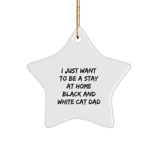 Funny Black and White Cat Gifts for Men, Women, Friends, Family, Star Ornament with Gold Cord, I Just Want To Be A Stay At Home Black And White Cat Dad - Image 1