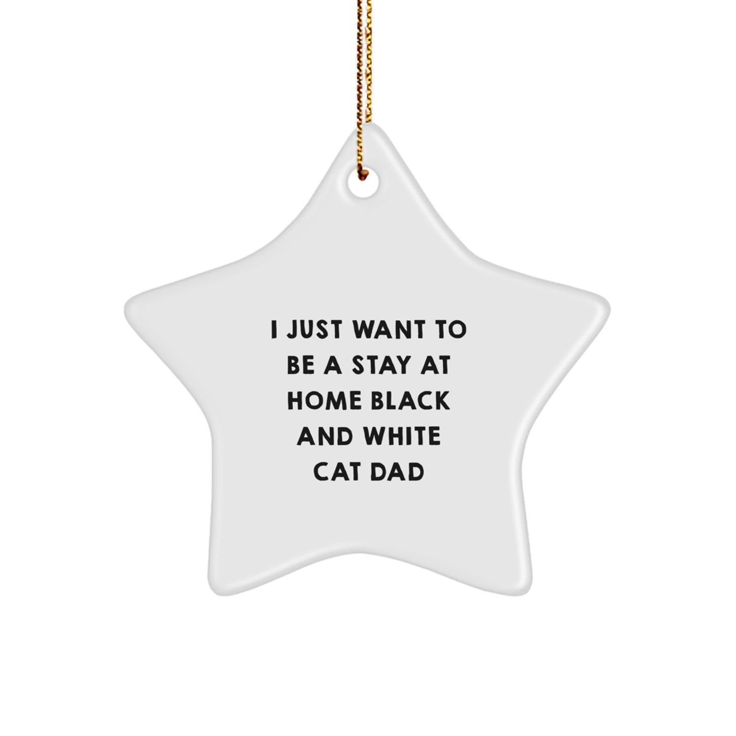 Funny Black and White Cat Gifts, Star Ornament for Christmas, Gifts from Dad to Black and White Cat Lover, I Just Want To Be A Stay At Home Cat Dad - Image 1