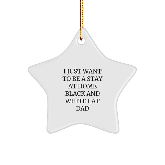 Funny Black and White Cat Dad Gifts from Men to Black and White Cat Lovers - Christmas Unique Star Ornament, Star Shaped Decorations - Image 1