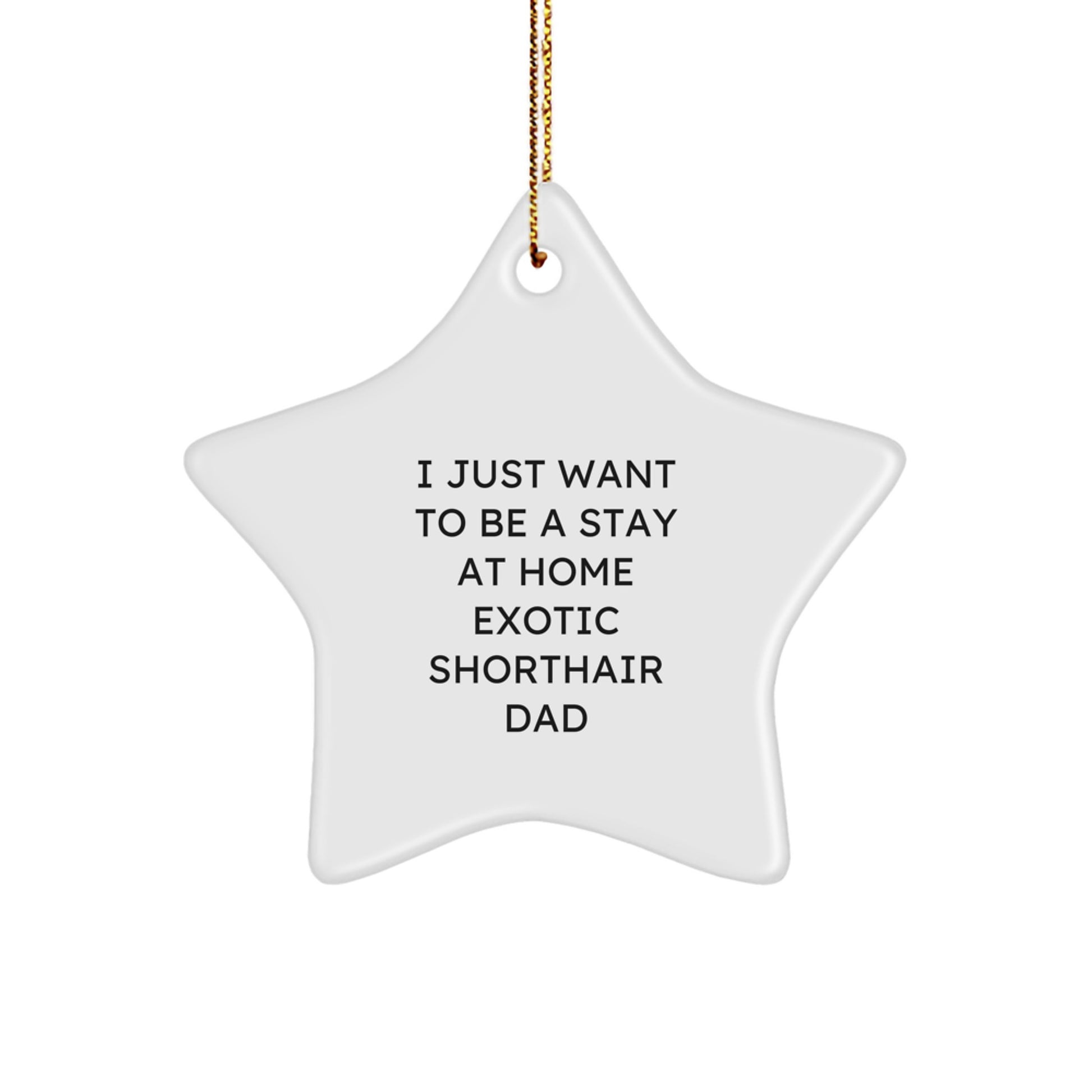 Funny Exotic Shorthair Cat Star Ornament, Gifts from Dad to Exotic Shorthair Cat on Christmas Unique Gifts, I Just Want To Be A Stay At Home Exotic Shorthair Dad's Favorite - Image 1