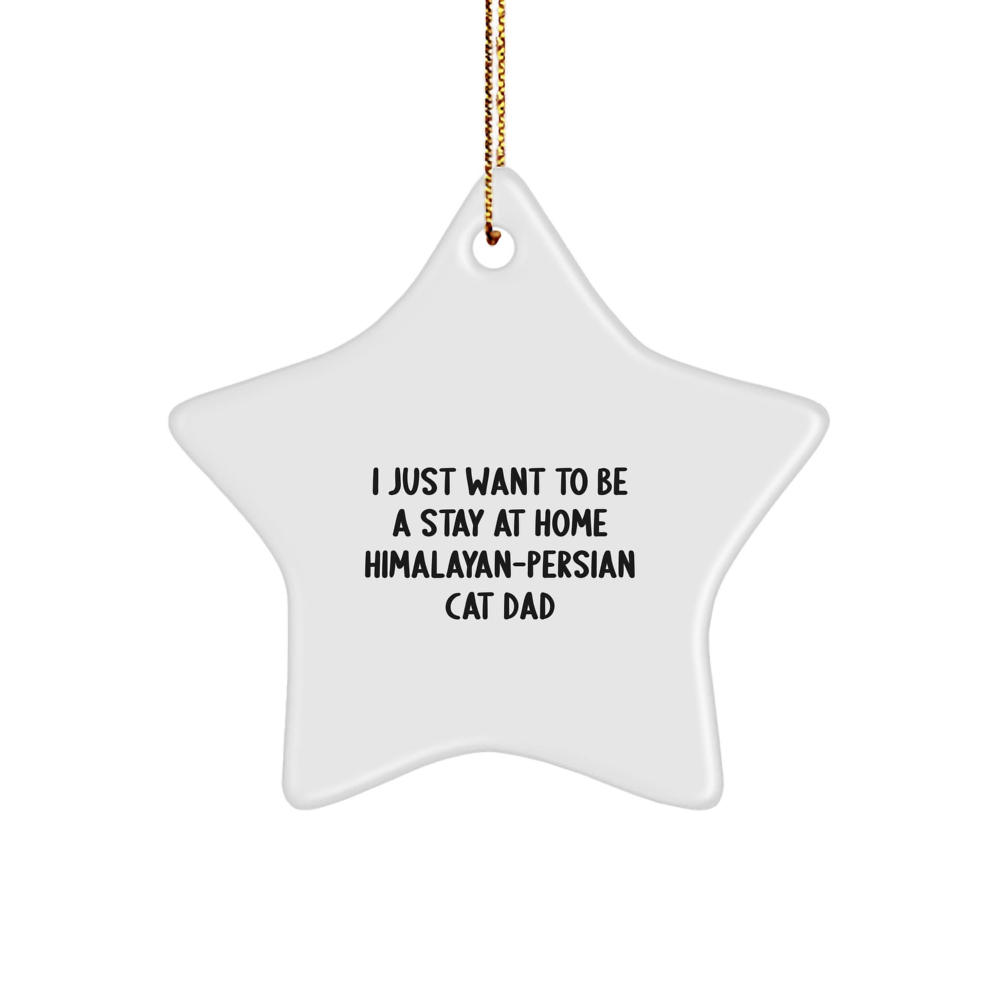 Funny Himalayan-Persian Cat Dad Gifts from Men to Friends, Cute Star Ornament for Christmas Unique Gifts, Inspirational Quote I Just Want To Be A Stay At Home - Image 1