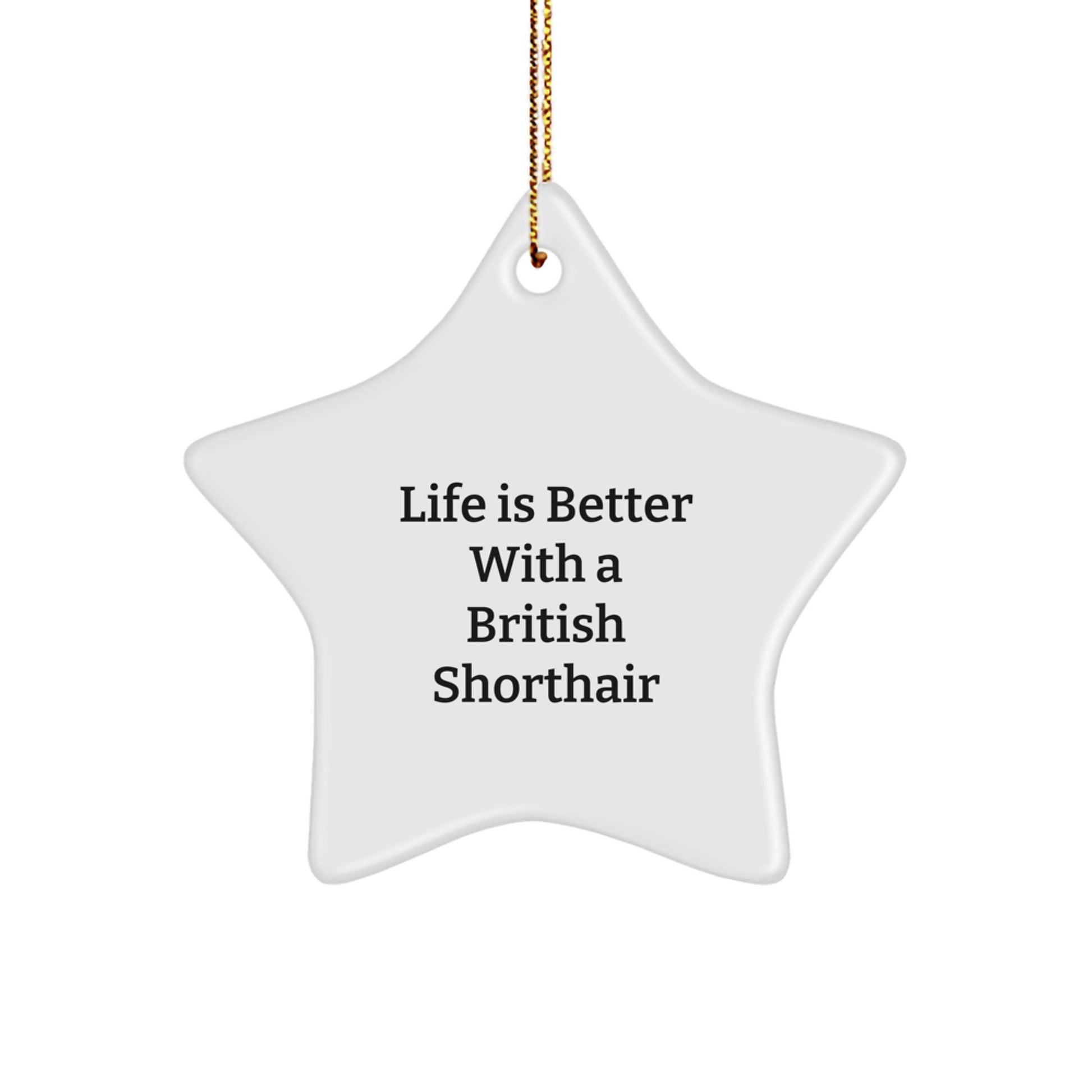 British Shorthair Cat Lovers Star Ornament Gifts from Family Friends Christmas Decor - Image 1