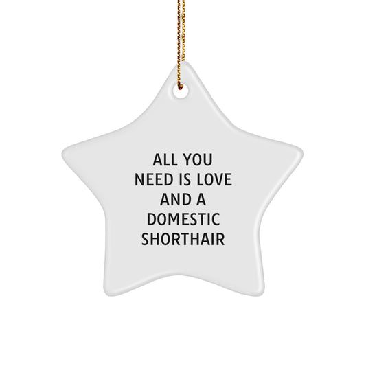 Domestic Shorthair Cat Lover's Star Ornament, Christmas Unique Gifts for Friends, Funny Quote 'All You Need Is Love And A Domestic Shorthair', Star Shaped Home Decor - Image 1