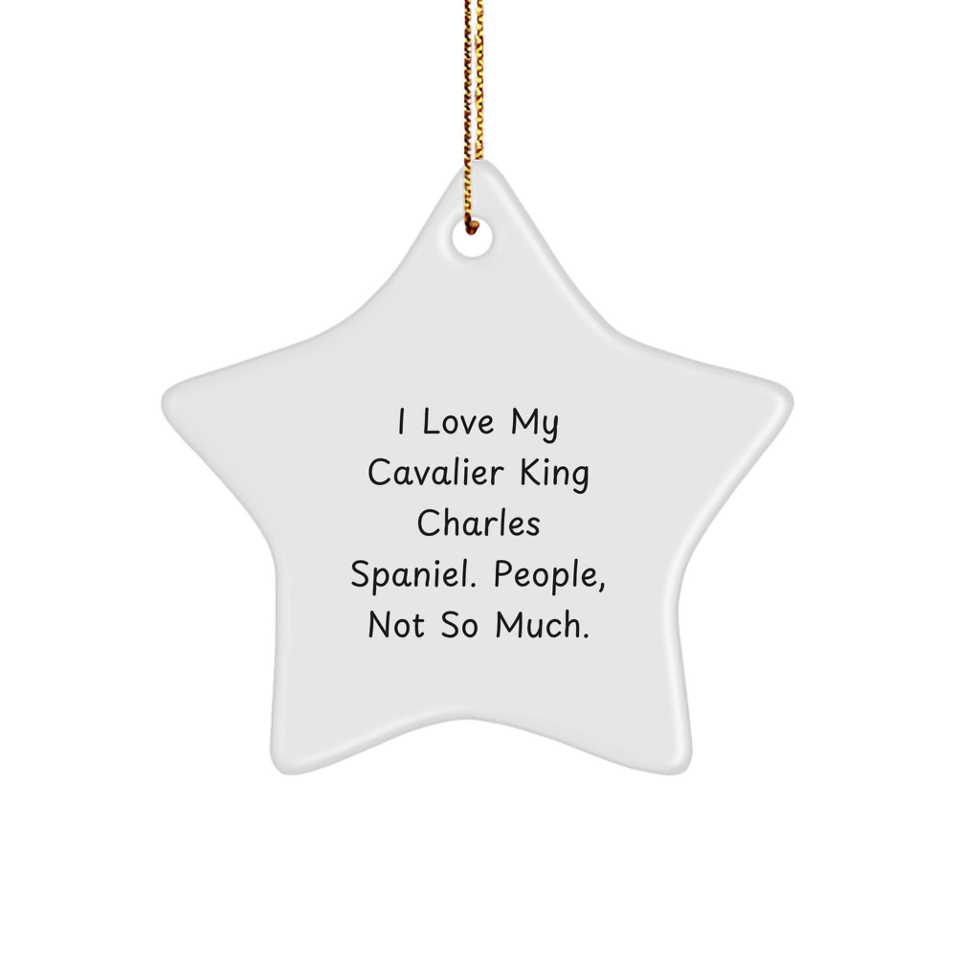 Funny Cavalier King Charles Spaniel Dog Gifts from Men to Friends - Christmas Unique Star Ornament with I Love My Cavalier King Charles Spaniel People Not So Much Quote - Image 1