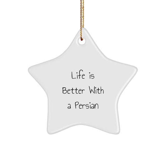 Funny Persian Cat Star Ornament Gifts from Friends and Family for Christmas Unique Gifts - Image 1