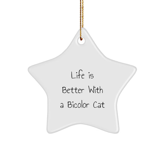 Funny Bicolor Cat Gifts for Men - Star Ornament with 'Life Is Better With A Bicolor Cat' Quote, Gifts from Friends, Family, or Coworkers for Christmas - Image 1