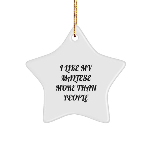 Funny Maltese Dog Gifts from Friends for Christmas - Star Ornament with 'I Like My Maltese More Than People' Quote - Image 1