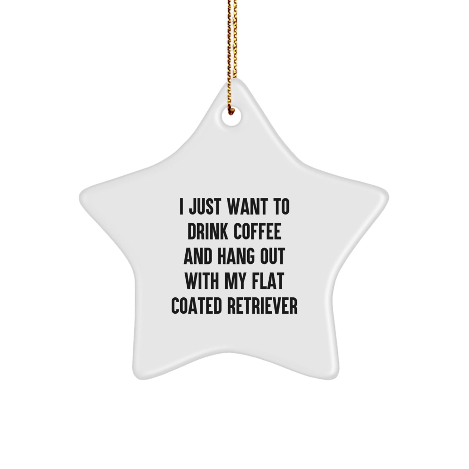 Funny Flat Coated Retriever Dog Gifts from Friends for Christmas, Star Ornament Quote 'I Just Want To Drink Coffee' - Image 1