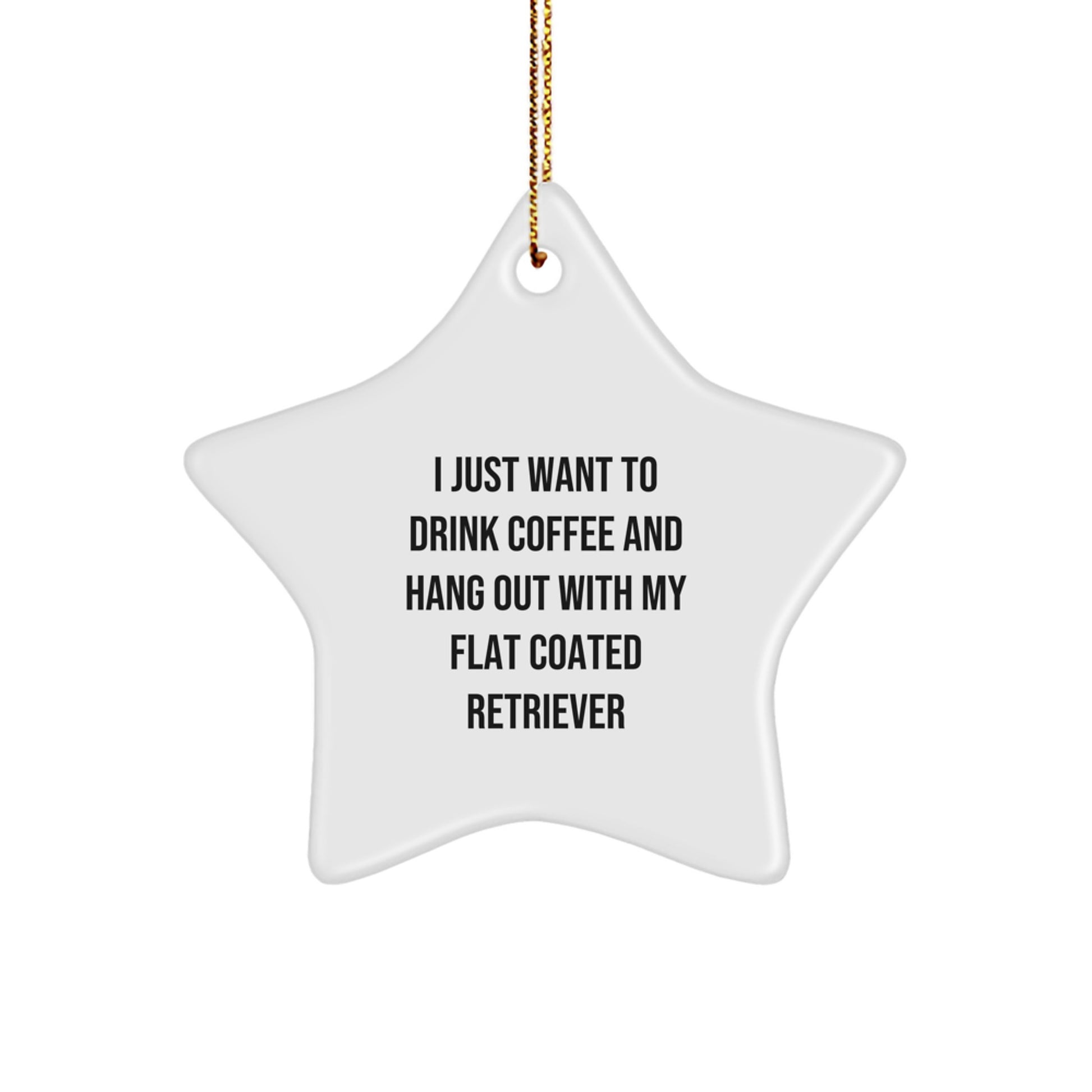 Funny Flat Coated Retriever Dog Gifts from Men to Friends - I Just Want To Drink Coffee And Hang Out With My Flat Coated Retriever Star Ornament for Christmas - Image 1