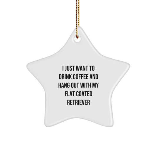 Funny Flat Coated Retriever Dog Gifts from Men to Friends - I Just Want To Drink Coffee And Hang Out With My Flat Coated Retriever Star Ornament for Christmas - Image 1