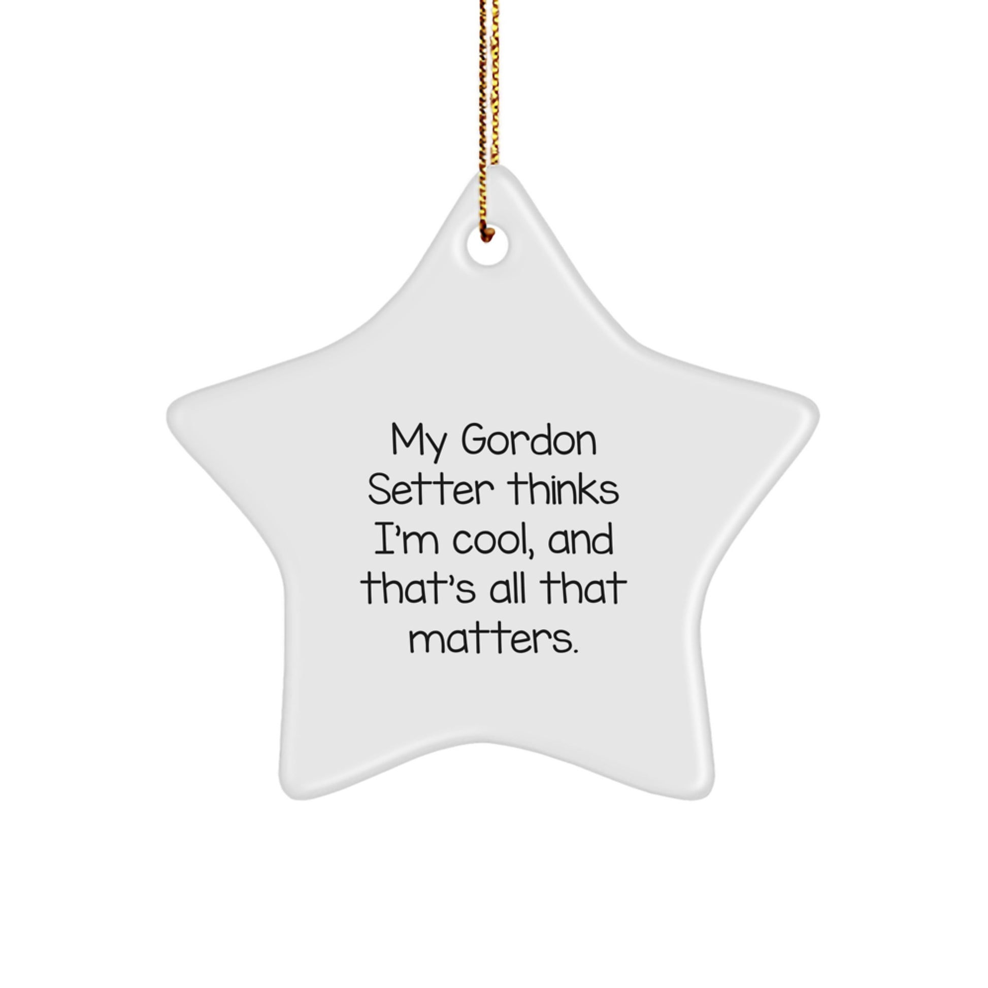 Gordon Setter Dog Lover Gifts from Men to Family - Funny Star Ornament, 'My Gordon Setter Thinks I'm Cool, And That's All That Matters.' - Image 1