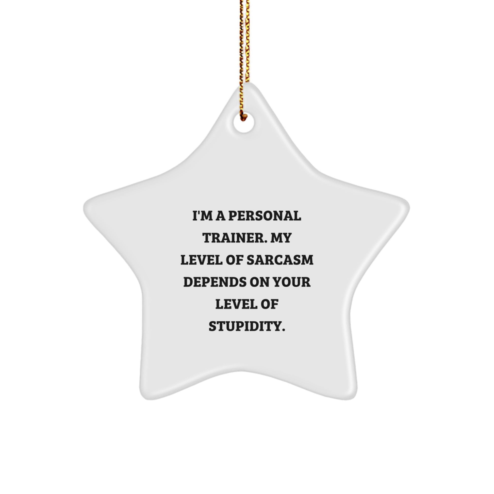 Funny Personal Trainer Gifts from Men - 'I'm a Personal Trainer' Star Ornament for Christmas Unique Gifts, Funny Star Ornament for Personal Trainers by Friends, Coworkers, or Family - Image 1