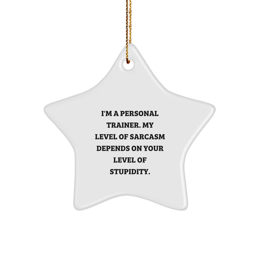 Funny Personal Trainer Gifts from Men - 'I'm a Personal Trainer' Star Ornament for Christmas Unique Gifts, Funny Star Ornament for Personal Trainers by Friends, Coworkers, or Family - Image 1