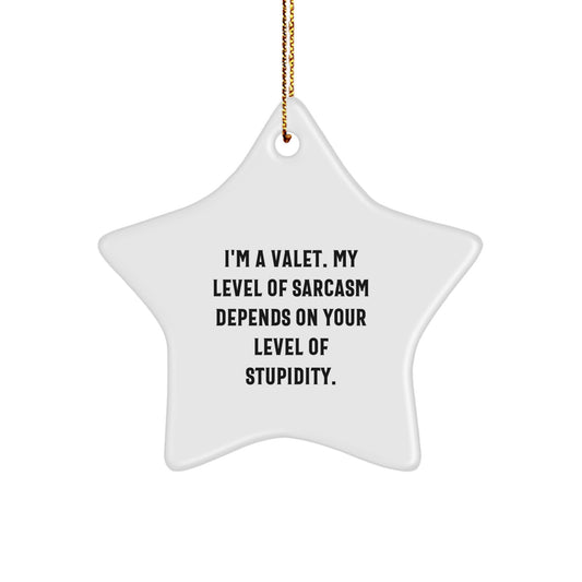 Valet Star Ornament, Funny Sarcasm Gift for Valet, Christmas Unique Gifts from Friends to Valet - Image 1