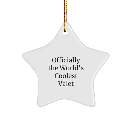 Funny Valet Gifts from Men - Officially The World's Coolest Valet Christmas Unique Gifts for Valet - Image 1