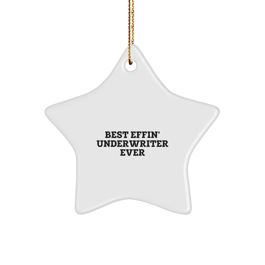 Funny Underwriter Gifts from Men for Christmas Star Ornament Best Effin' Underwriter Ever Friends - Image 1