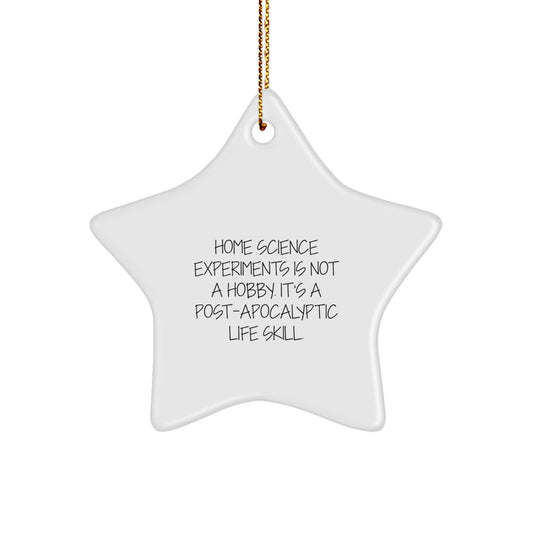 Funny Home Science Experiments Gifts for Happy Kids - Star Ornament with Gold Cord, Perfect for Christmas Unique Gifts from Friends, Family to Home Science Experiments Enthusiasts - Image 1