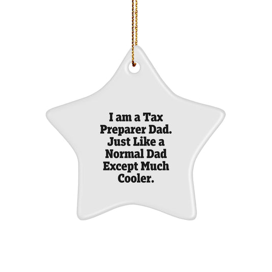 Tax Preparer Dad Gifts - Funny Star Ornament for Christmas Decorations - Gifts from Husband to Wife or Best Friend - Inspirational Quote - Image 1