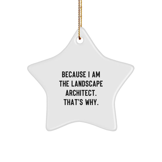 Funny Gift for Landscape Architect, Star Ornament Christmas Decorations, Gifts from Friends or Family, Because I Am The Landscape Architect. That's Why. - Image 1