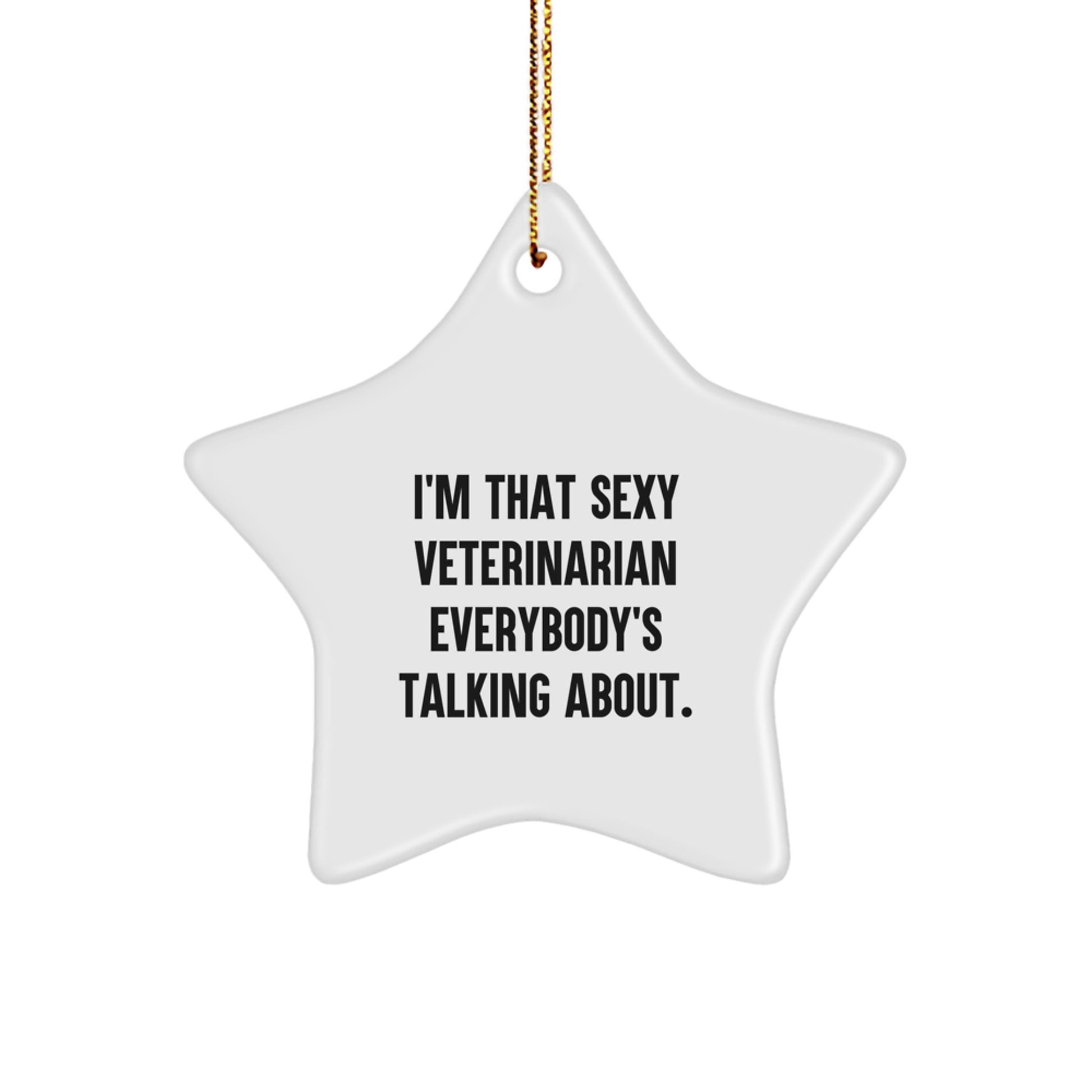 Funny Veterinarian Star Ornament for Christmas Unique Gifts from Friends to Men Veterinarians, Cute Quote - Image 1