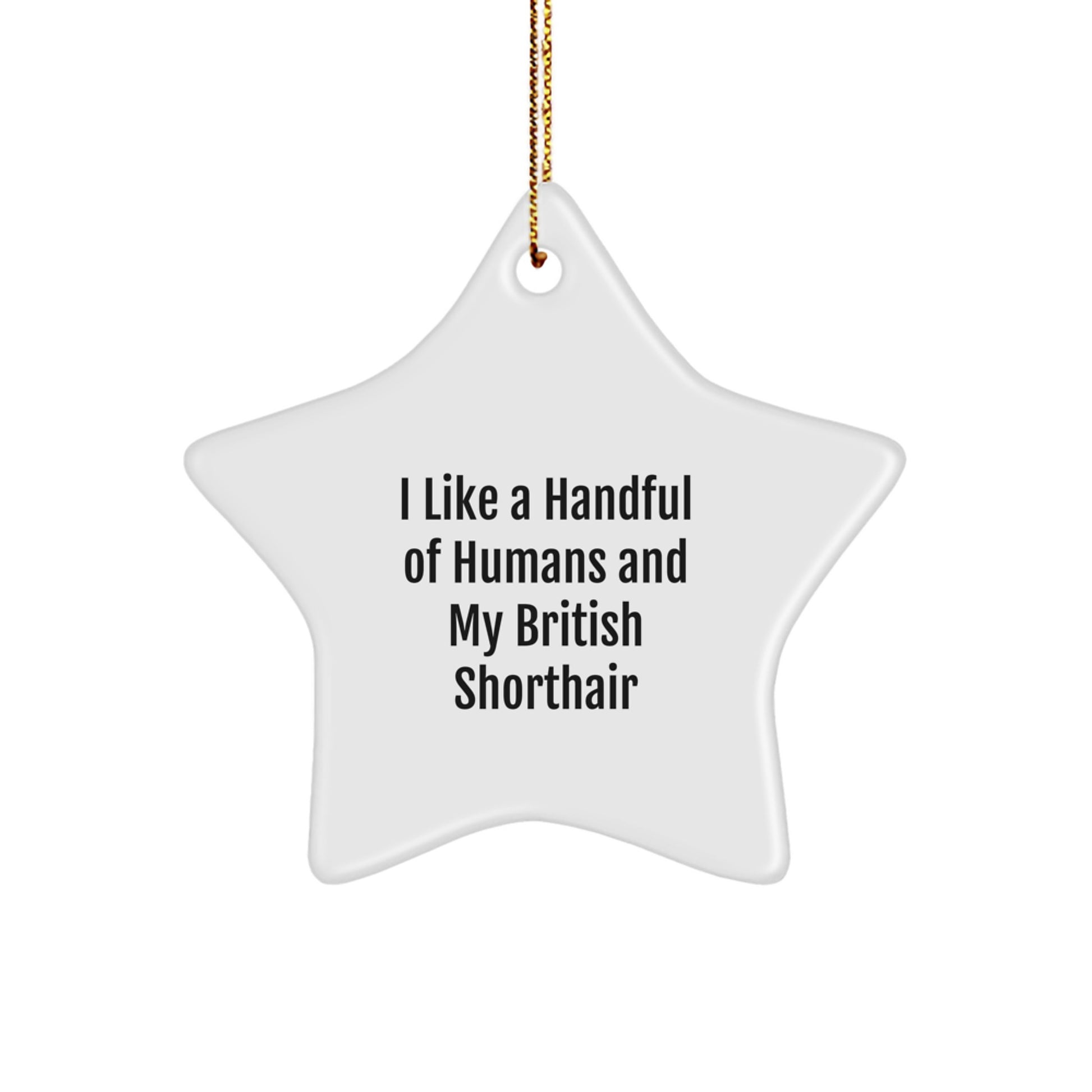 British Shorthair Cat Lovers Star Ornament, Funny Quote, Christmas Unique Gifts from Friends to Family - Image 1