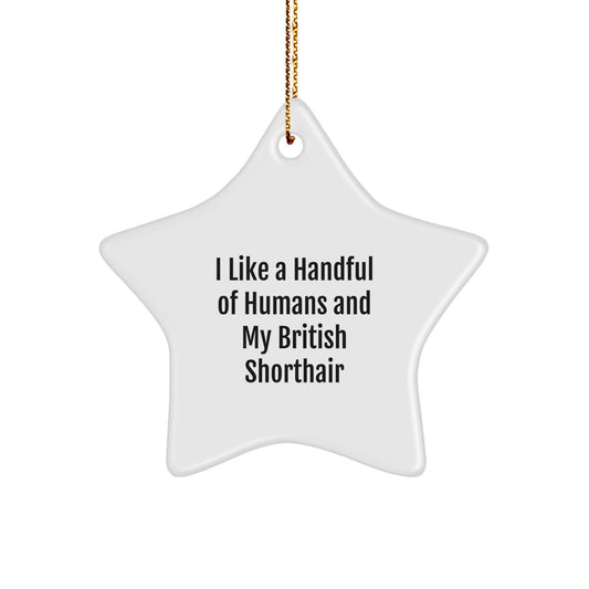 British Shorthair Cat Lovers Star Ornament, Funny Quote, Christmas Unique Gifts from Friends to Family - Image 1