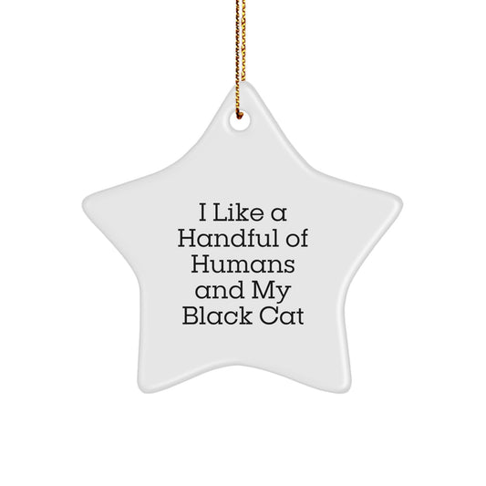 Black Cat Gifts from Men for Friends, 'I Like A Handful Of Humans And My Black Cat', Star Ornament, Christmas Unique Presents - Image 1