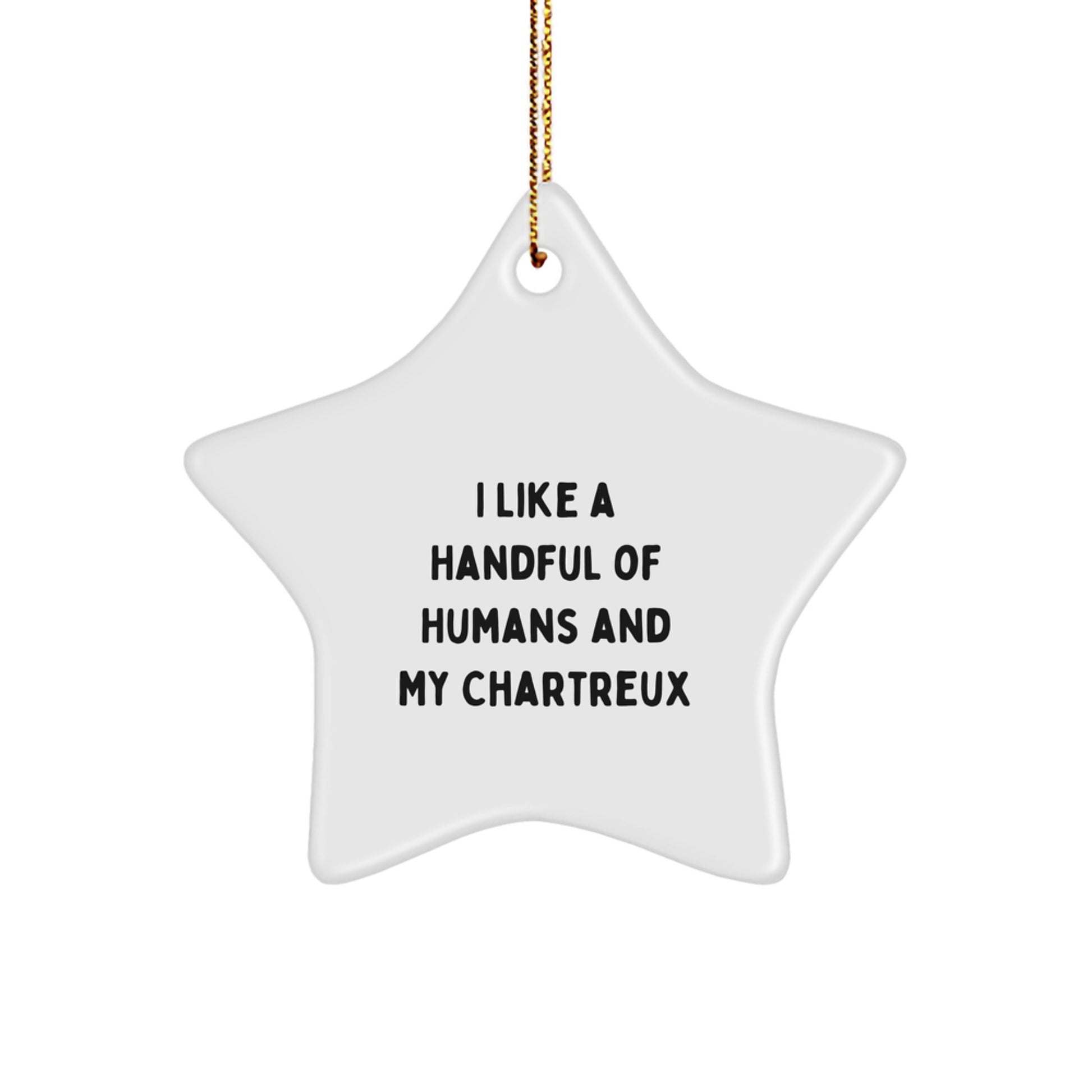 Chartreux Cat Lover Funny Star Ornament Gifts from Friends and Family for Christmas - Image 1