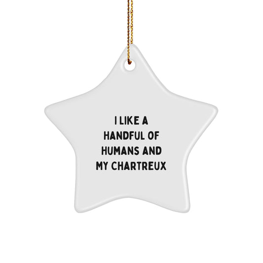 Chartreux Cat Lover Funny Star Ornament Gifts from Friends and Family for Christmas - Image 1
