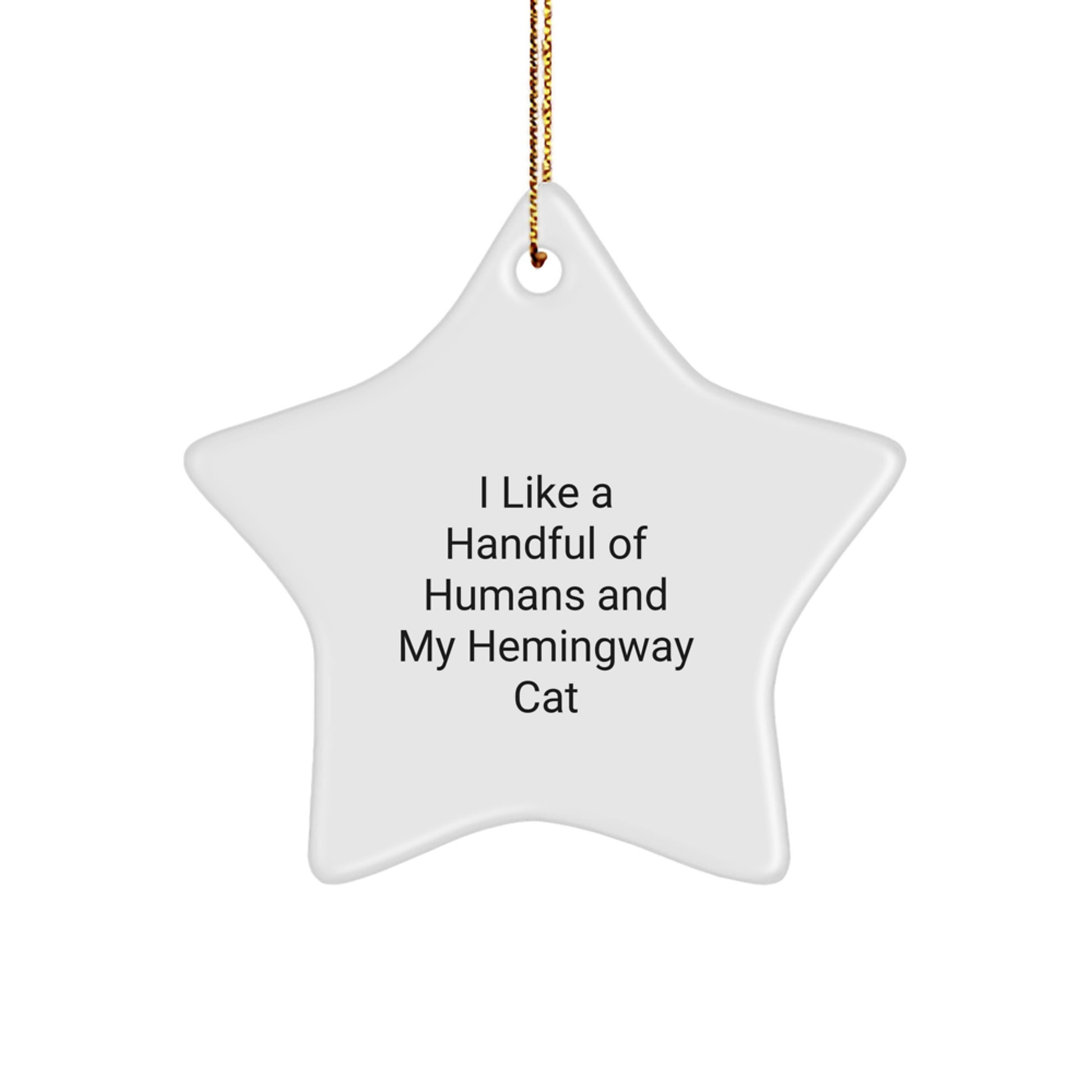 Funny Hemingway Cat Star Ornaments Gifts from Men to Friends and Family for Christmas Decorations - Image 1