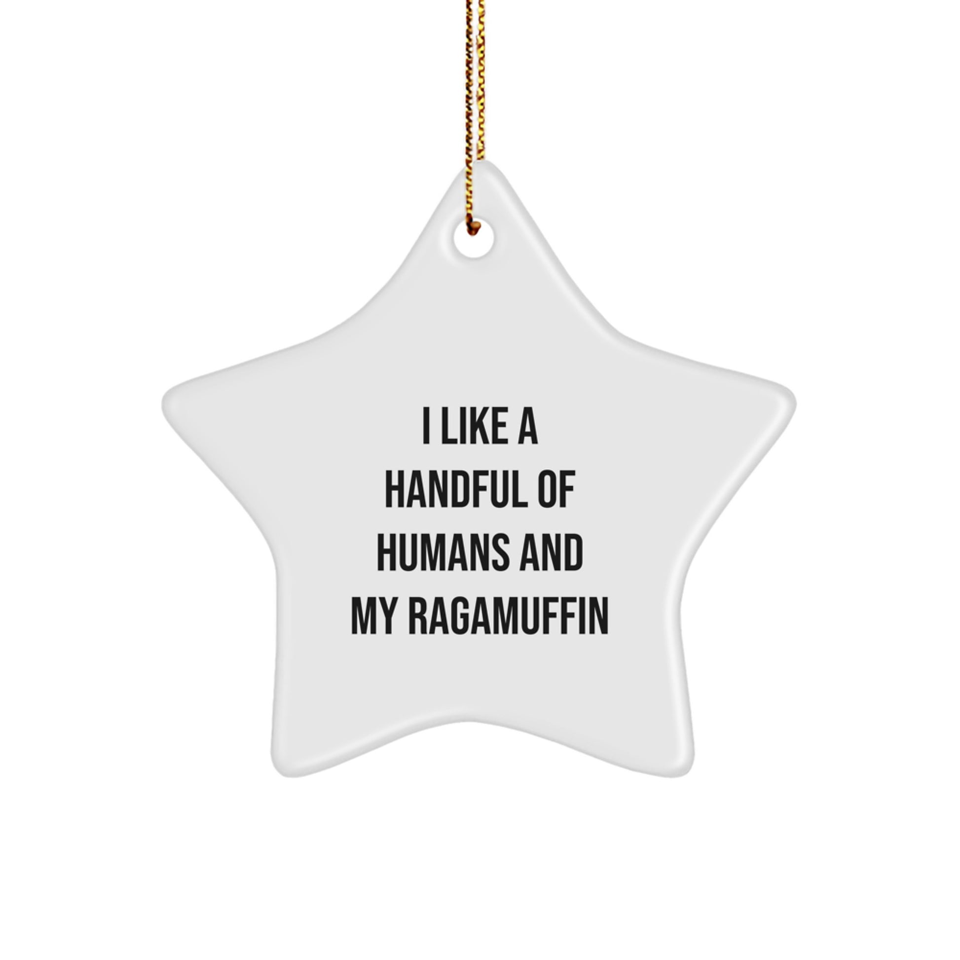 Ragamuffin Cat Star Ornament Funny Gift for Cat Lovers Christmas Unique Decorations from Friends and Family - Image 1