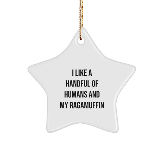 Ragamuffin Cat Star Ornament Funny Gift for Cat Lovers Christmas Unique Decorations from Friends and Family - Image 1