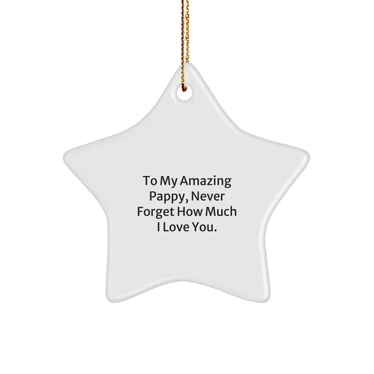Funny Pappy Gifts for Men Star Ornament with Quote To My Amazing Pappy Never Forget How Much I Love You Gifts from Family - Image 1