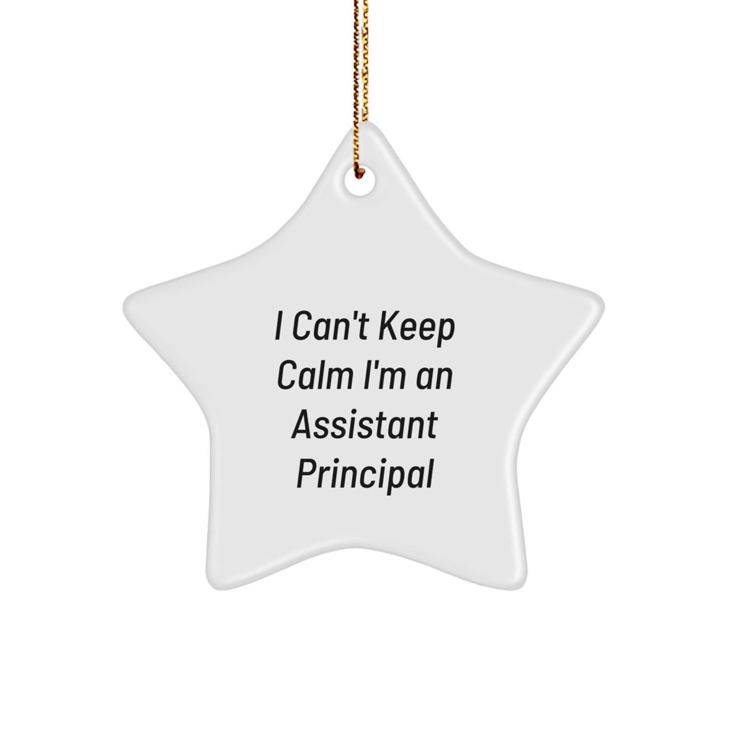 Funny Assistant Principal Gifts for Men, I 'Can't Keep Calm I'm An Assistant Principal' Star Ornament, Christmas Unique Gifts from Friends - Image 1