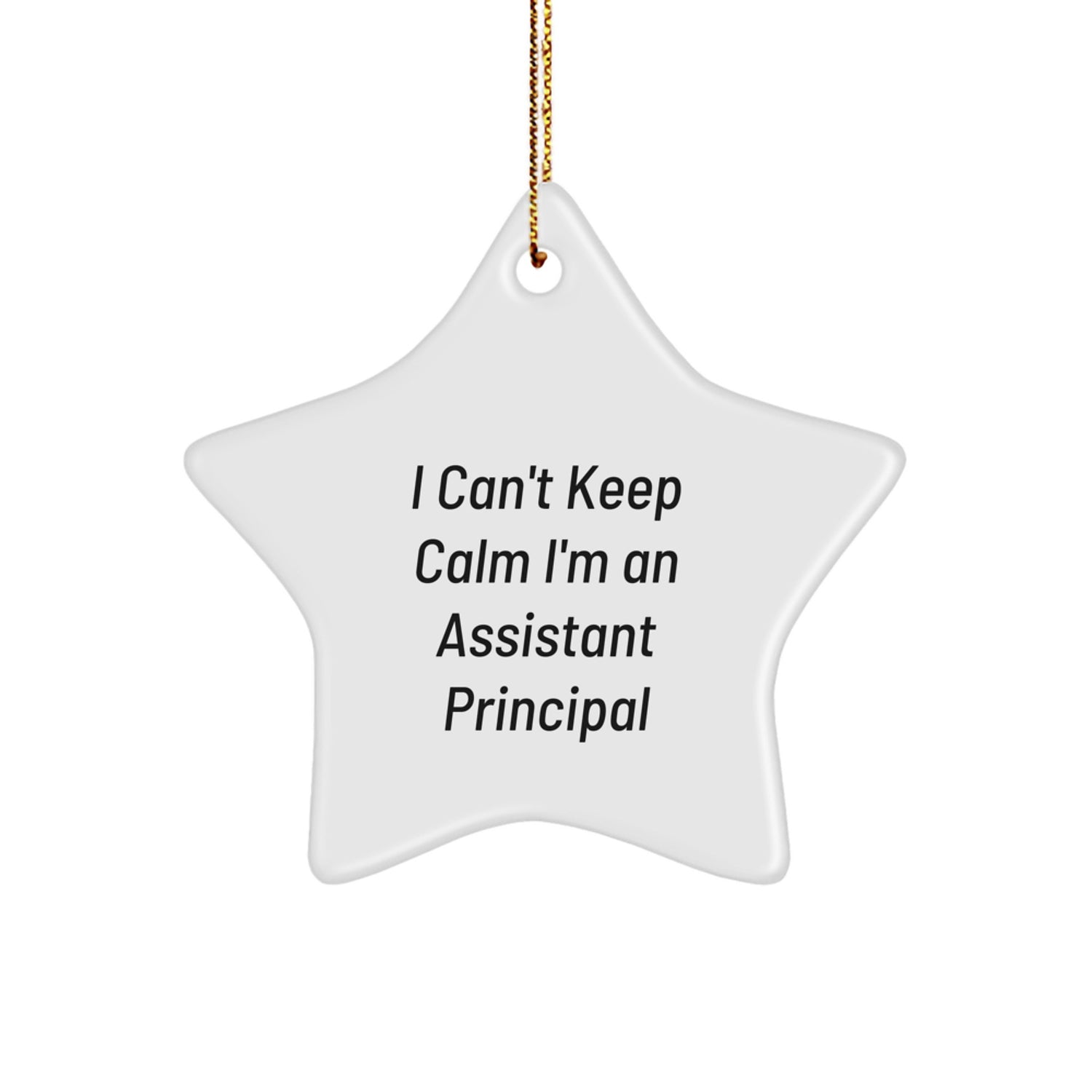 Funny Assistant Principal Gifts for Men, I 'Can't Keep Calm I'm An Assistant Principal' Star Ornament, Christmas Unique Gifts from Friends - Image 1