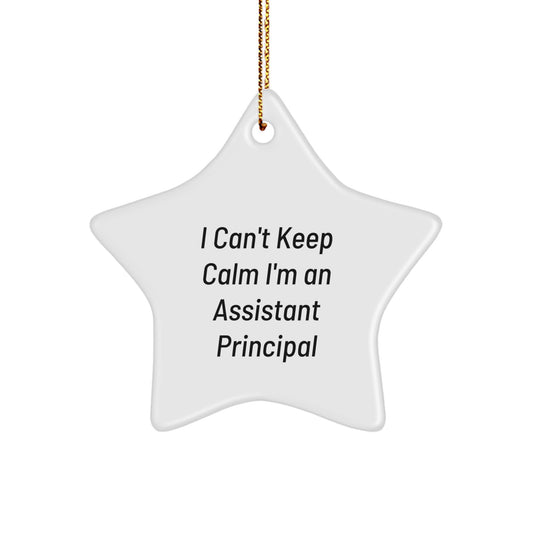Funny Assistant Principal Gifts for Men, I 'Can't Keep Calm I'm An Assistant Principal' Star Ornament, Christmas Unique Gifts from Friends - Image 1