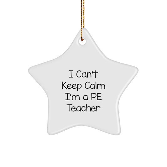 I Can't Keep Calm I'm A PE Teacher Gifts from Men to PE Teachers, Funny Star Ornament for Christmas Unique Gifts - Image 1