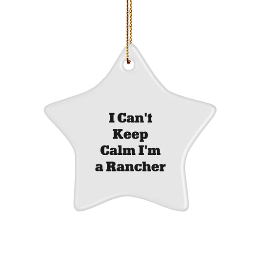 Funny Rancher Gifts I Can't Keep Calm Star Ornaments for Rancher Men Friends Family Christmas Unique Gifts from Friends to Rancher - Image 1