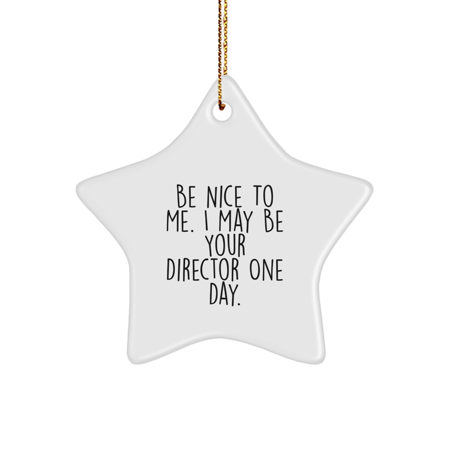 Funny Inspirational Star Ornament Gifts from Friends for Director Men - 'Be Nice To Me. I May Be Your Director One Day.' Christmas Unique Gifts - Image 1