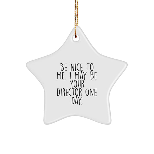 Funny Inspirational Star Ornament Gifts from Friends for Director Men - 'Be Nice To Me. I May Be Your Director One Day.' Christmas Unique Gifts - Image 1