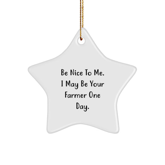 Funny Farmer Gifts, Christmas Star Ornament with Inspirational Quote, Gifts from Men to Farmer Friends - Gifts for Farmers, Unique Christmas Unique Gifts - Image 1