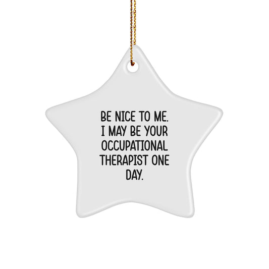 Funny Occupational Therapist Gifts from Friends for Christmas Unique Star Ornament, Be Nice To Me One Day Star Shaped Decor - Image 1