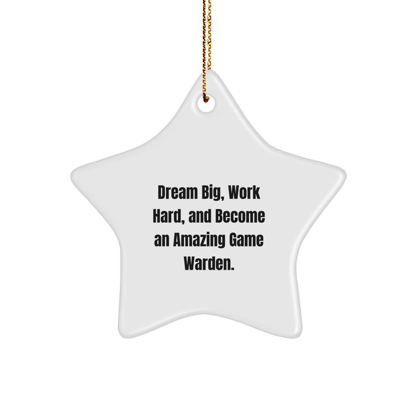 Funny Inspirational Game Warden Gifts for Friends - Star Ornament with 'Dream Big, Work Hard, And Become An Amazing Game Warden' Quote Gifts from Family to Men Women Game Wardens at Christmas - Image 1